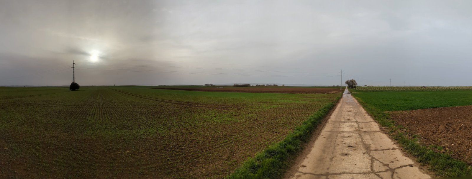 PXL_20240330_164333229.PANO.jpg