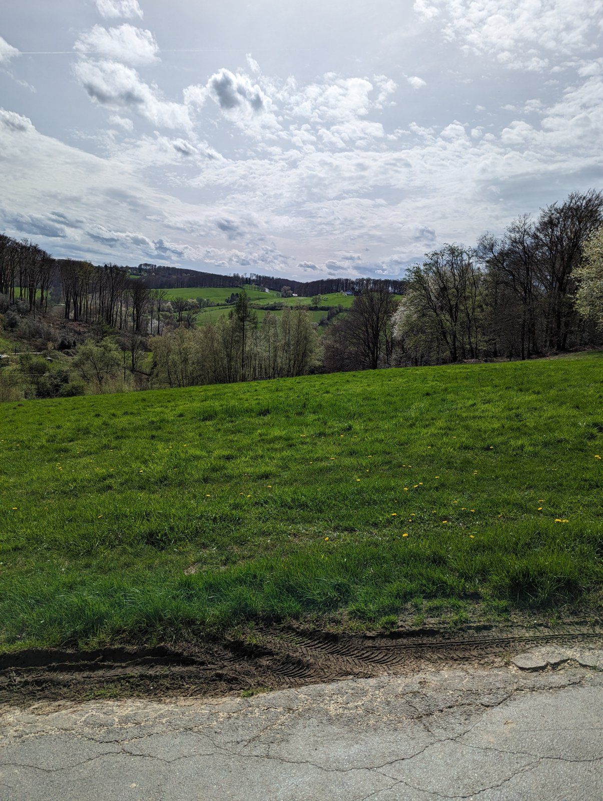 PXL_20240407_130117751.jpg