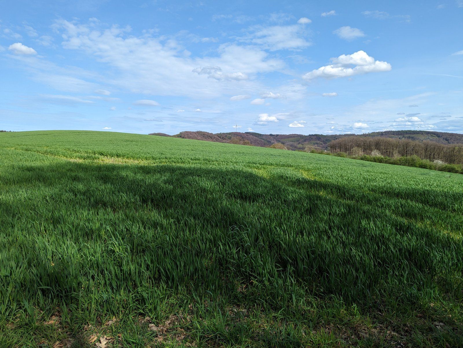 PXL_20240407_130150440.jpg