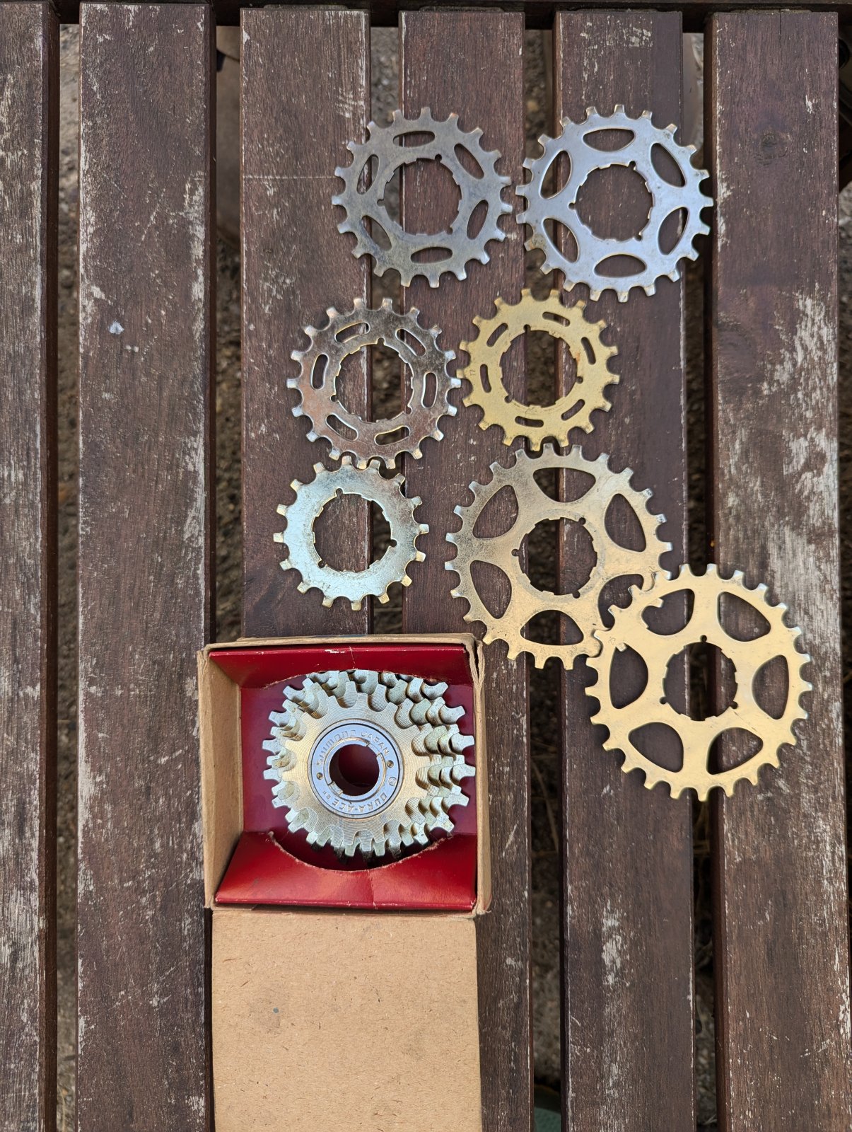 PXL_20240822_114858817.jpg