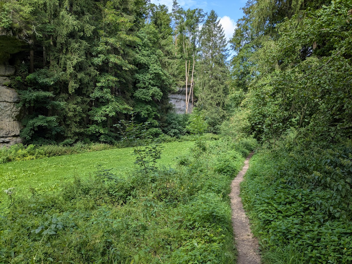 PXL_20250723_084141088.jpg