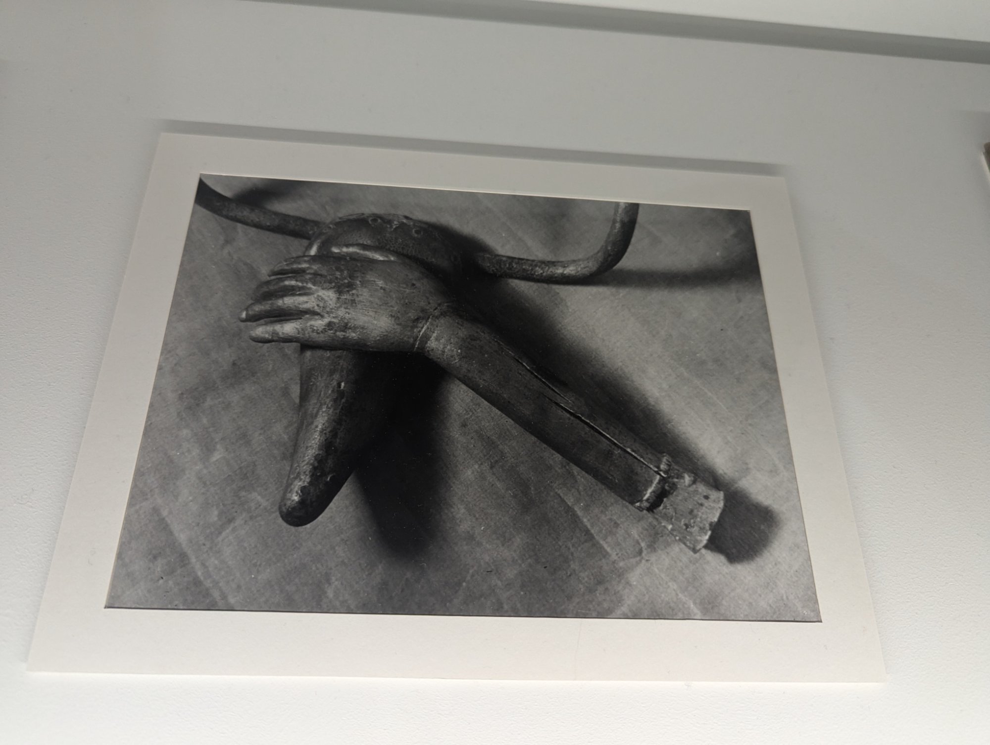 PXL_20250730_093344240.jpg