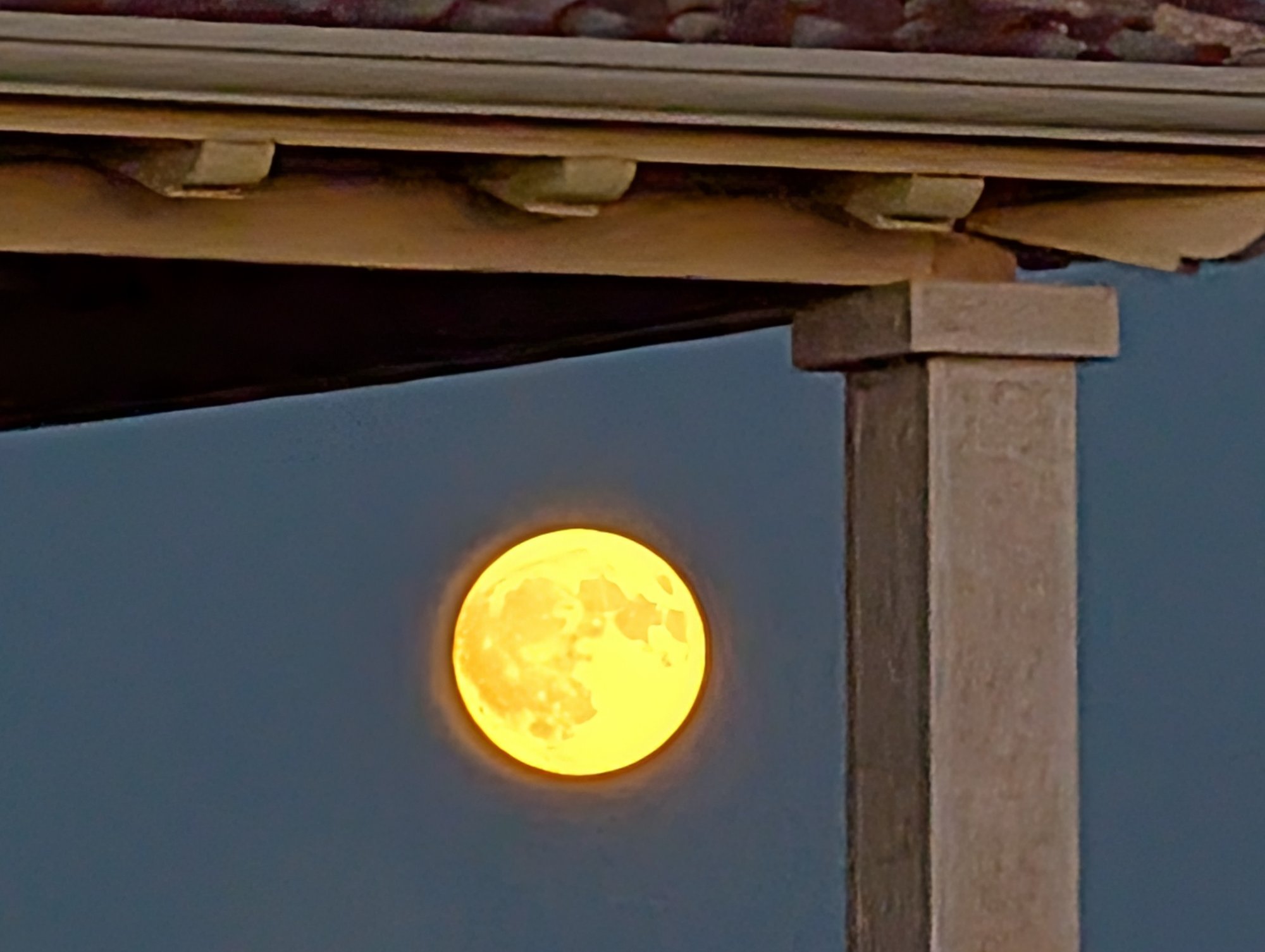 PXL_20250808_184755232.NIGHT.jpg