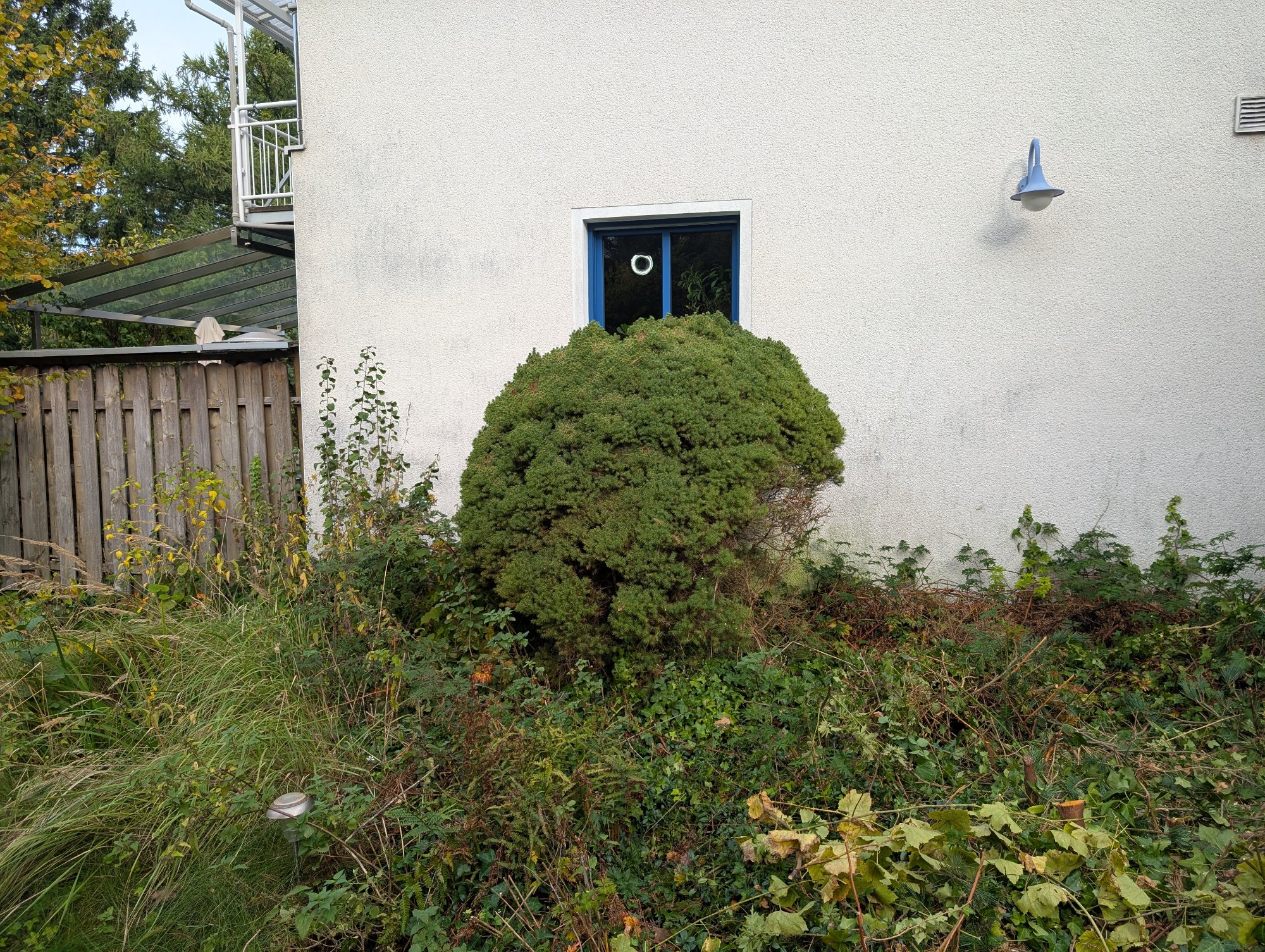 PXL_20251010_084758676.jpg
