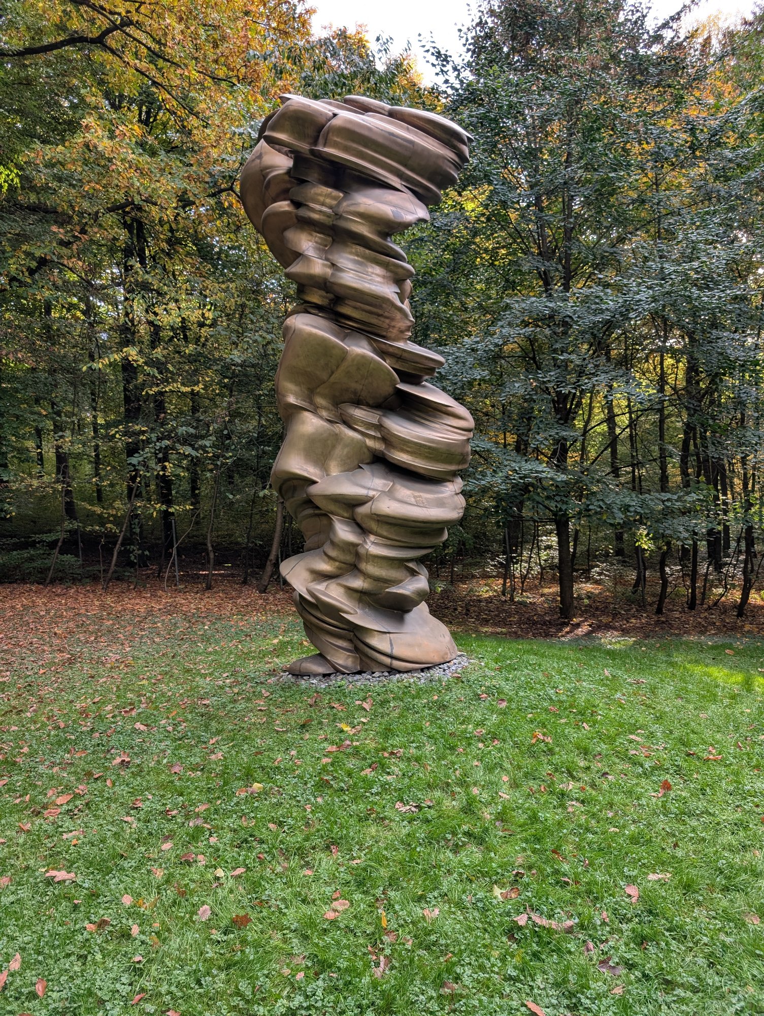 PXL_20251018_141303170.jpg