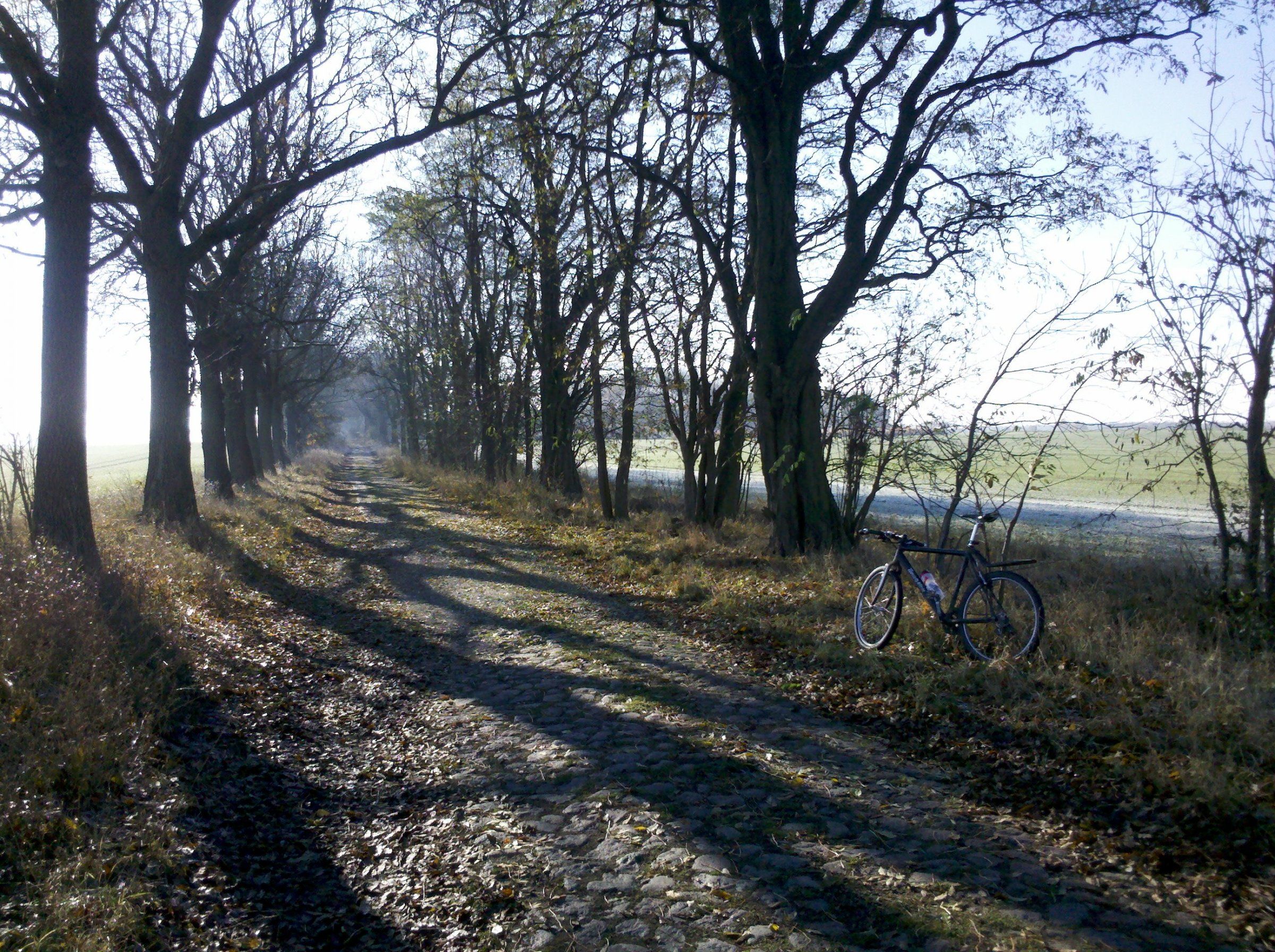 radfahrt zwischen Werneuchen und Altlandsberg 31.11.2016.jpg