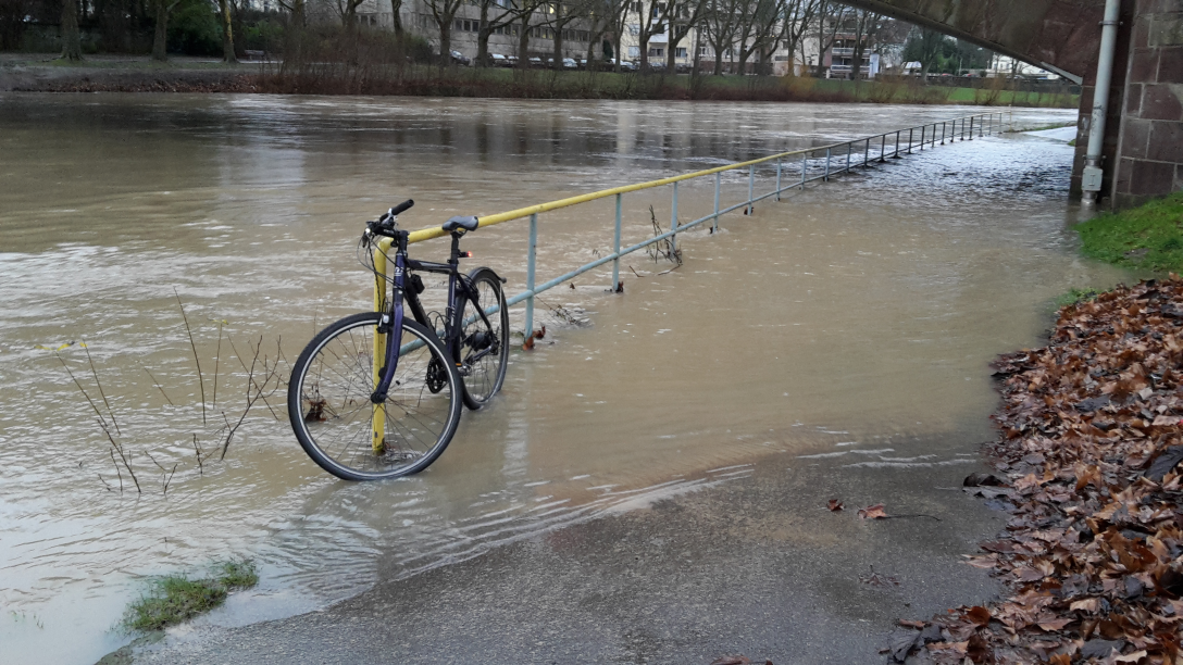 radweg_weg.png