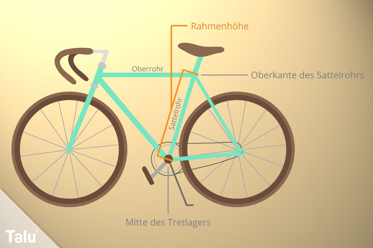 Passt das Rad? RennradNews.de