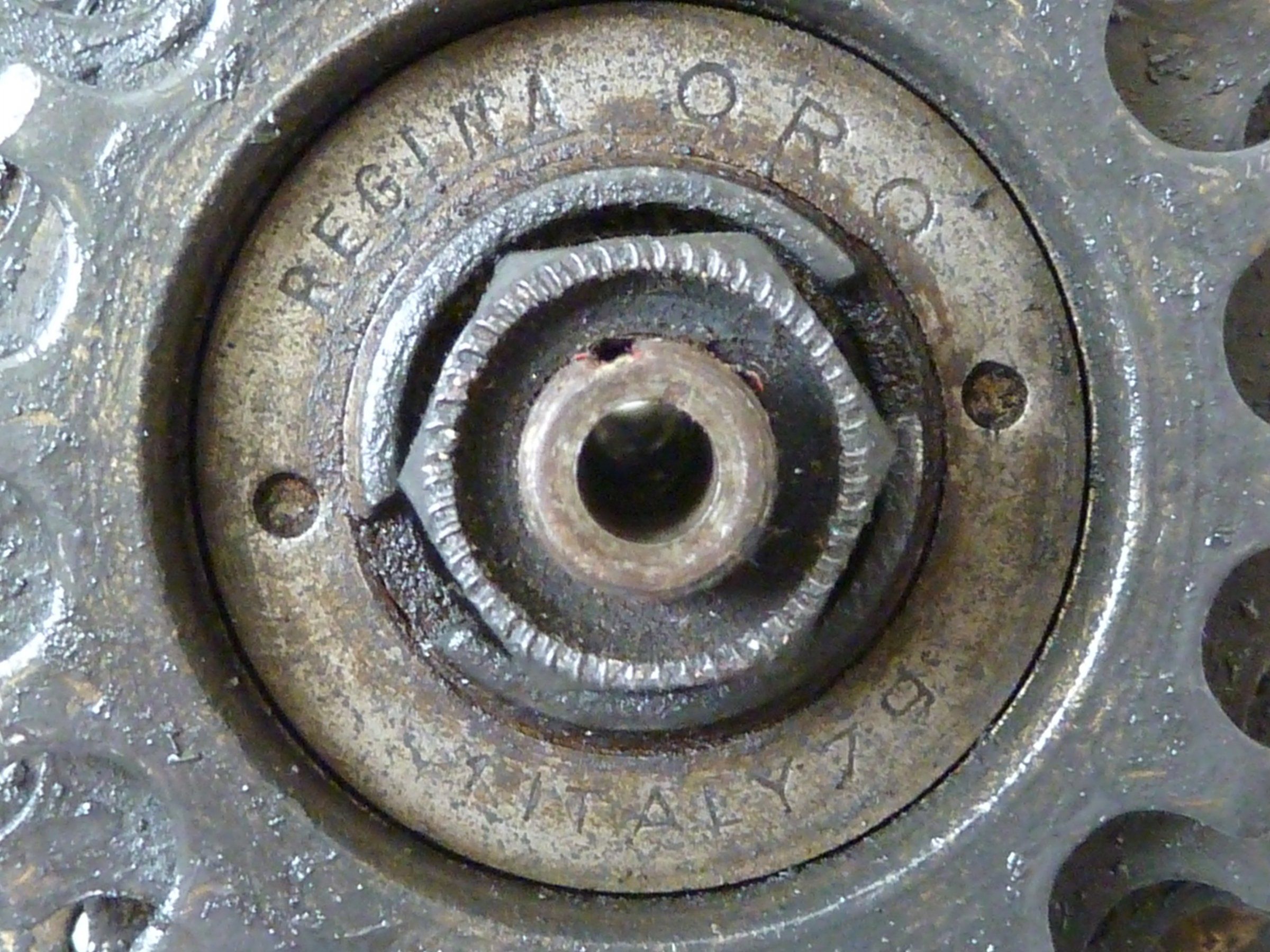 Regina_Oro_2.JPG