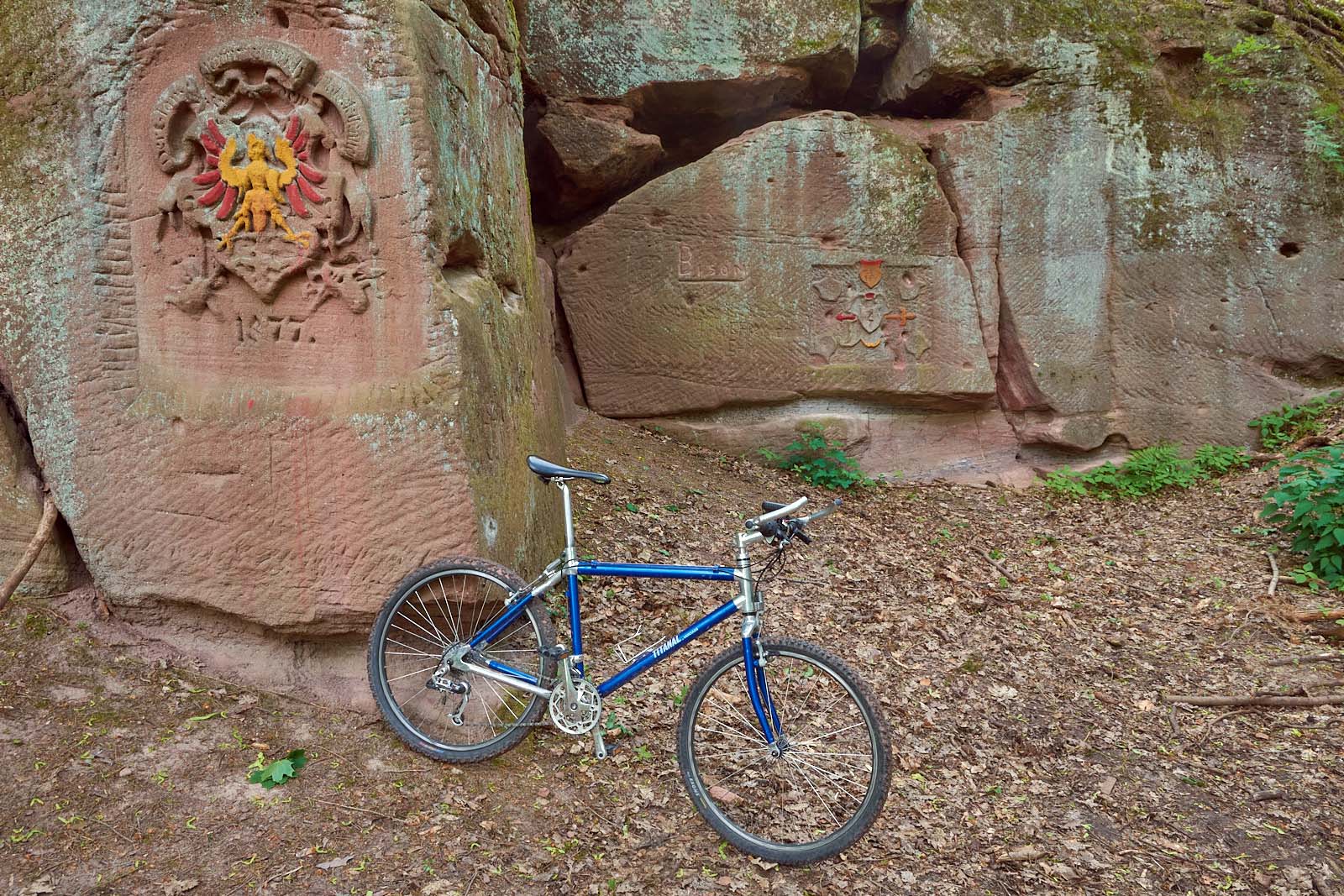 Rennrad 4301.jpg