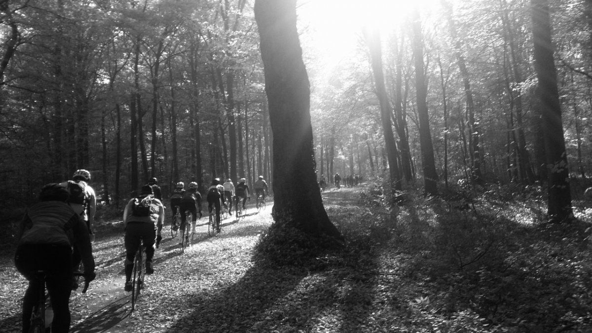 Rennrad Wintertraining Düsseldorf_6sw.jpg