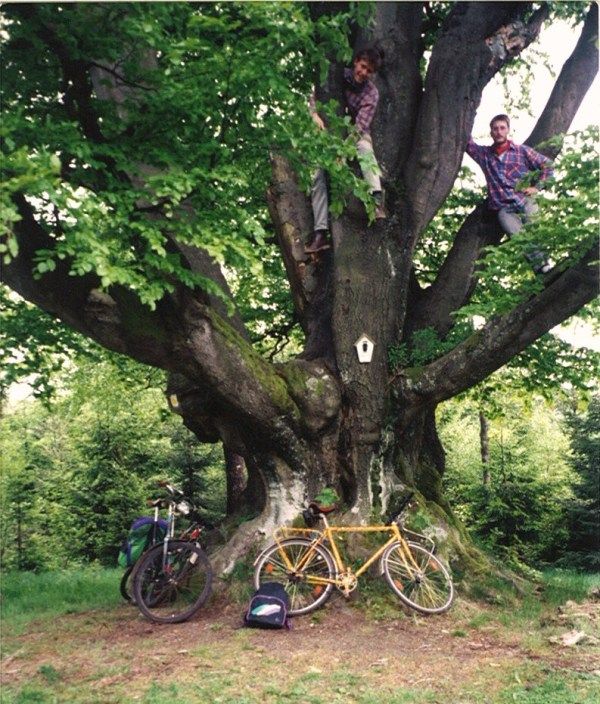 Rennsteig.jpg
