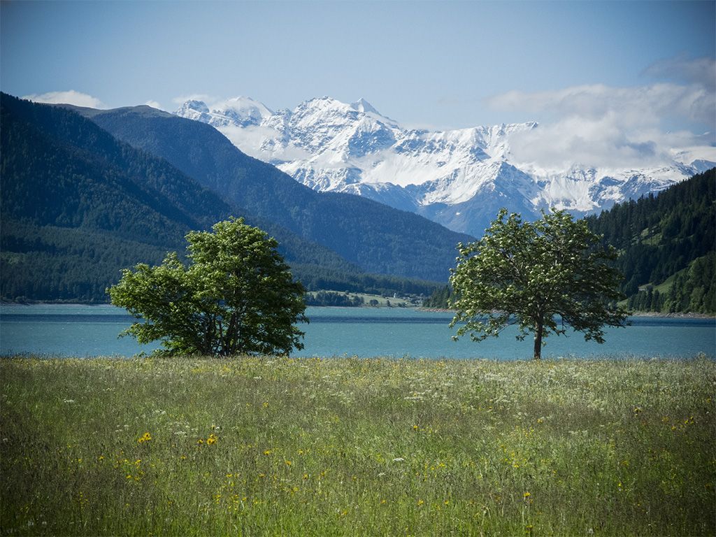 reschensee_02.jpg