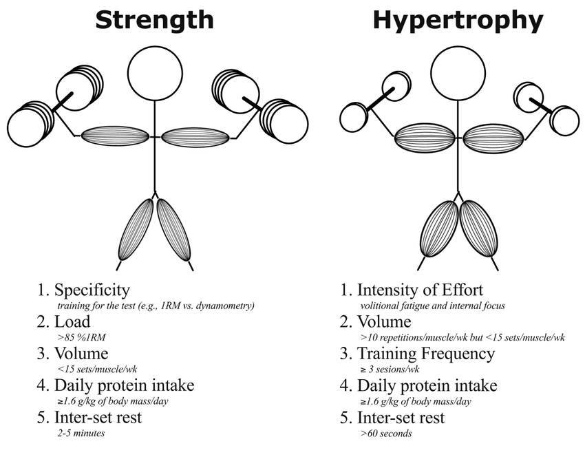 Resistance-exercise-training-variables-alongside-evidence-based-recommendations-to.ppm.png