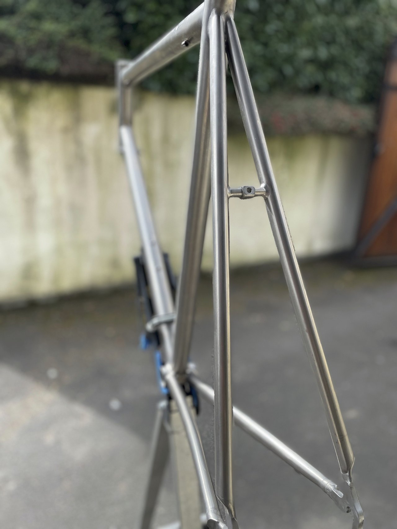rewel-gestripped (7).JPEG
