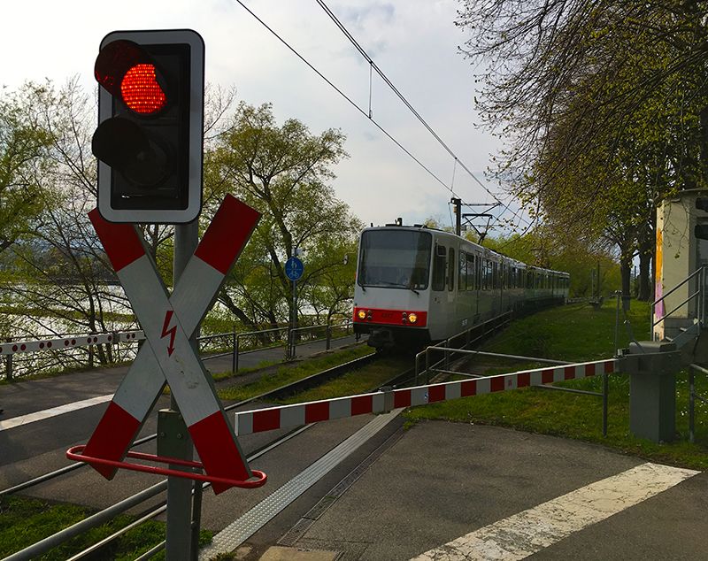 Rhein.4.jpg