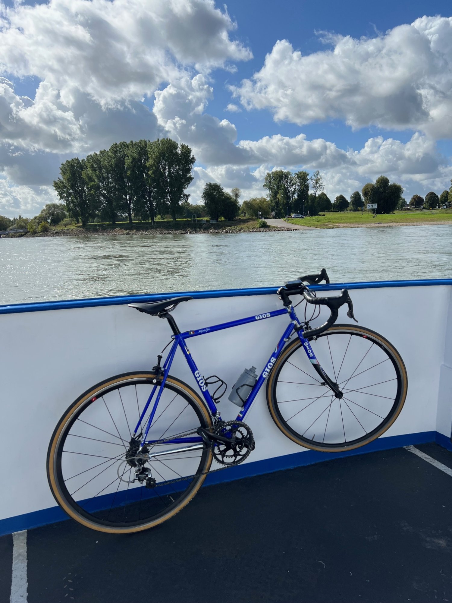 rhein.jpg