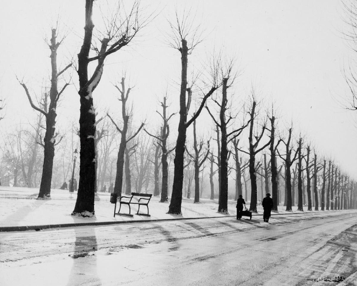 Robert Häusser - Allee in Winter, 1954.jpg