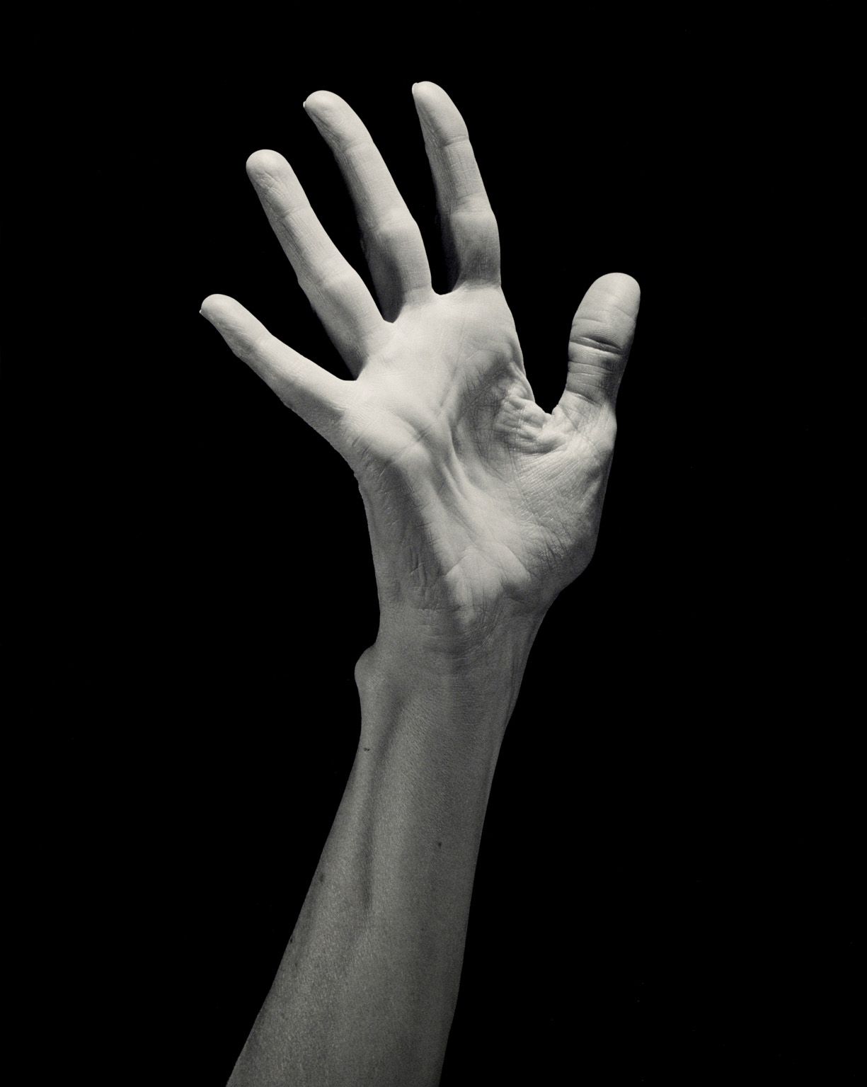 Robert Mapplethorpe - Lucinda’s Hand.jpg