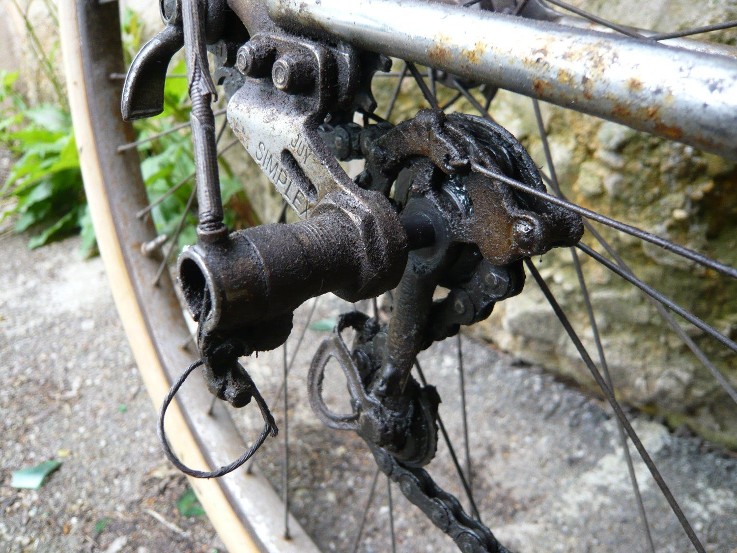 Roby6.jpg