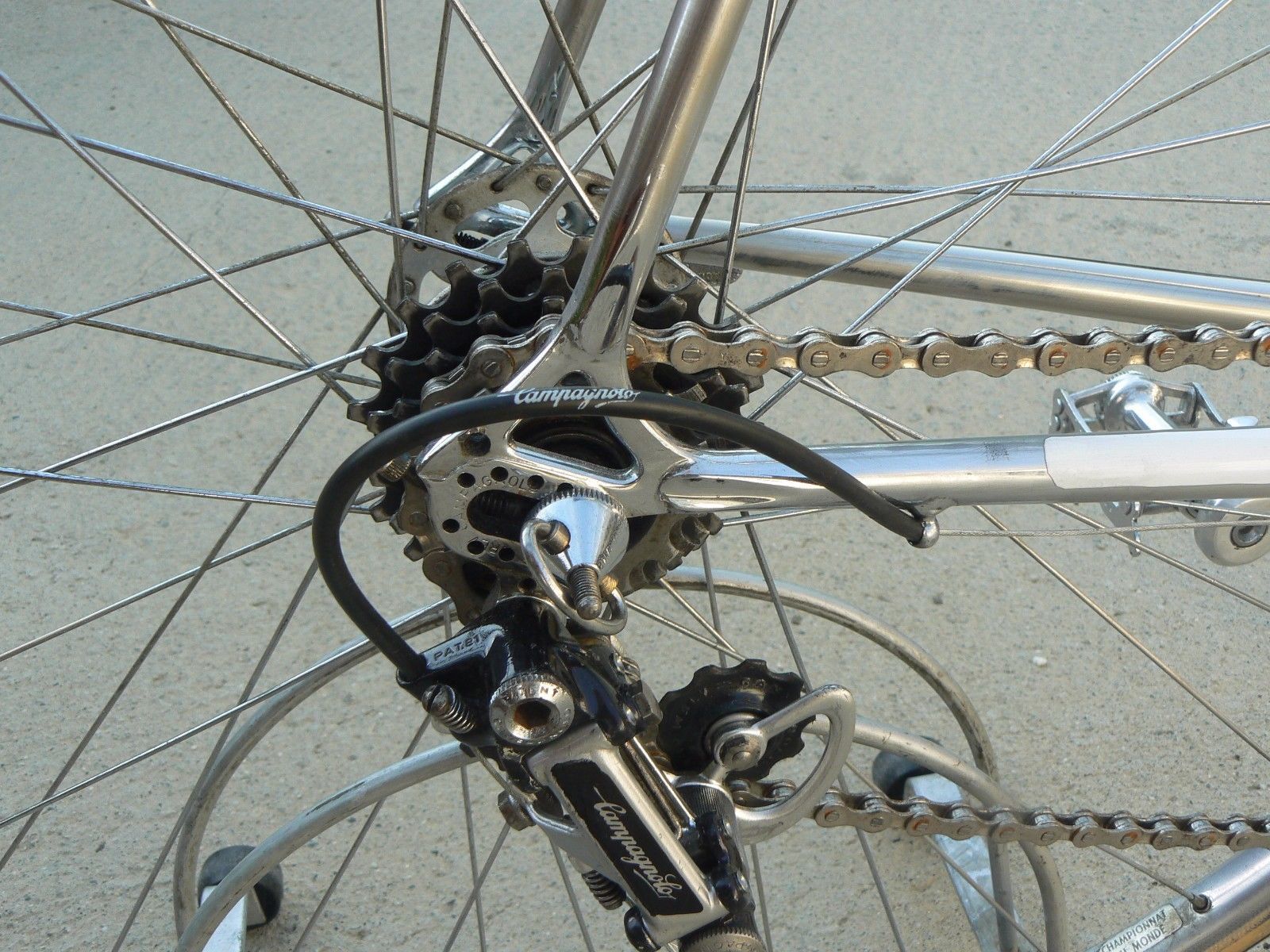 Roger Roche campagnolo dropouts columbus slx fluu chrome.jpg