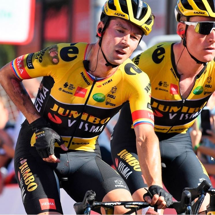 Roglic_2022.jpg
