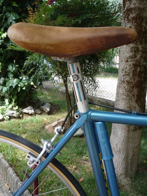 Ronchini (3).jpg