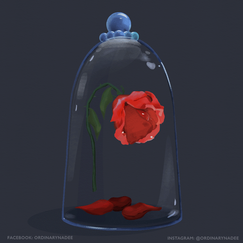 rose.gif