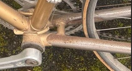 rost.jpg