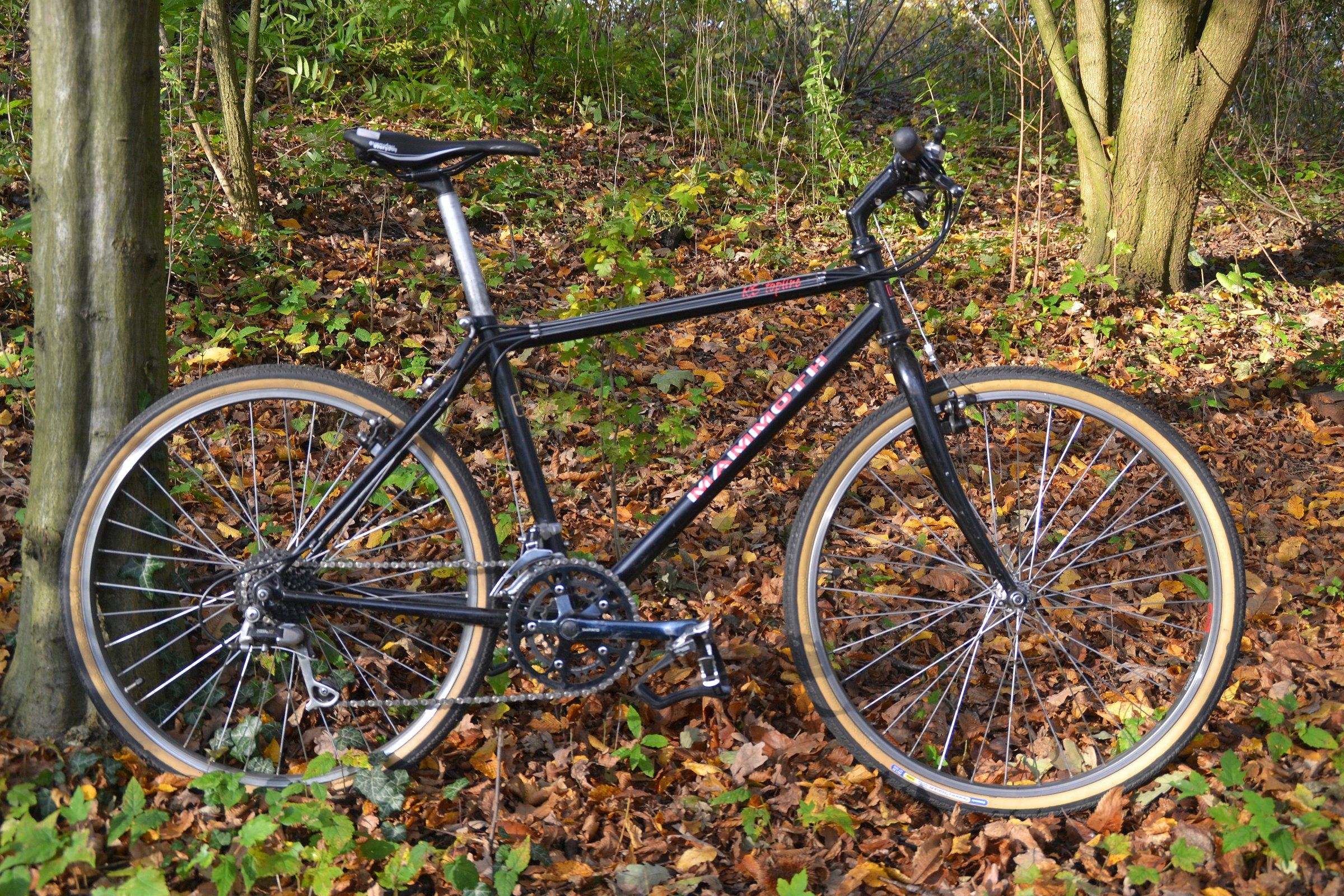 RS Mammoth 1-2.jpg