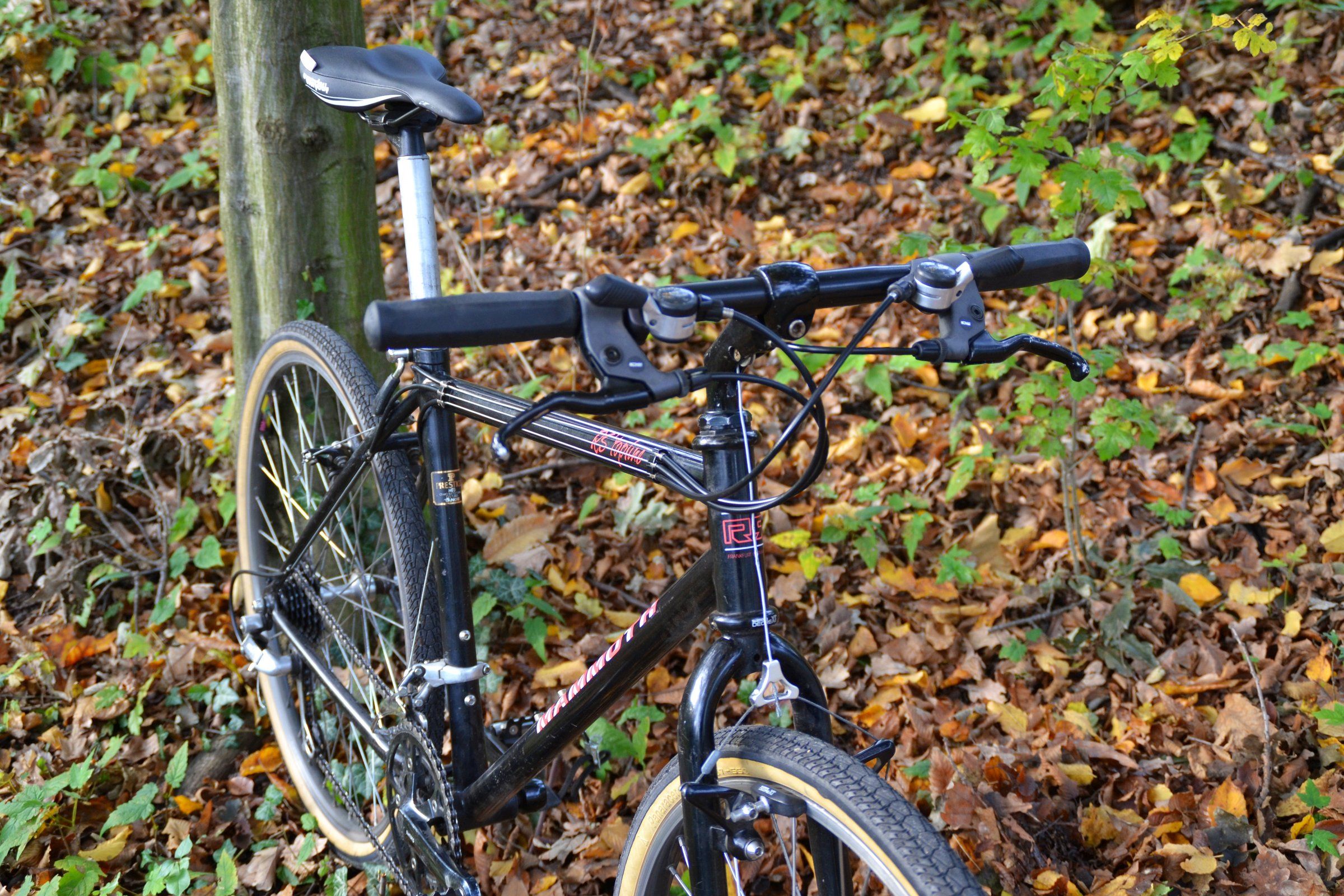RS Mammoth 3.jpg