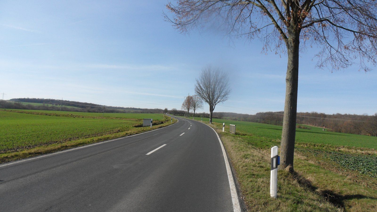 SAM_0747.JPG