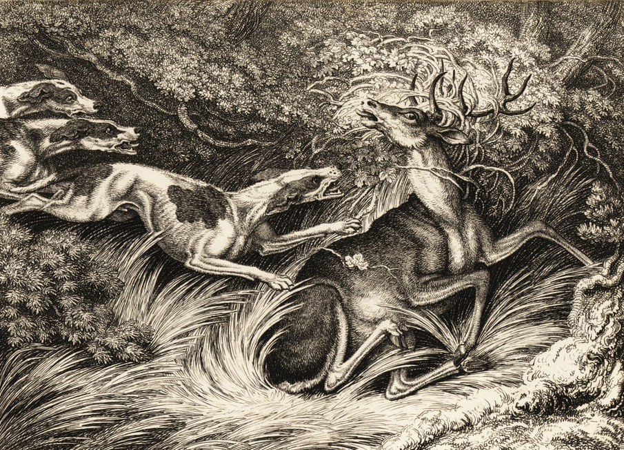 Samuel_Howitt_-_Three_hounds_attack_a_stag_caught_by_its_antlers_1811_(etching)_-_(MeisterDruc...jpg