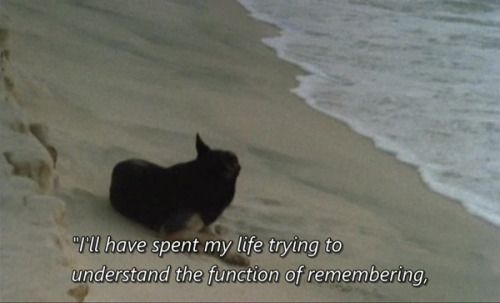 Sans Soleil (1983) - Chris Marker (film) 1.jpg