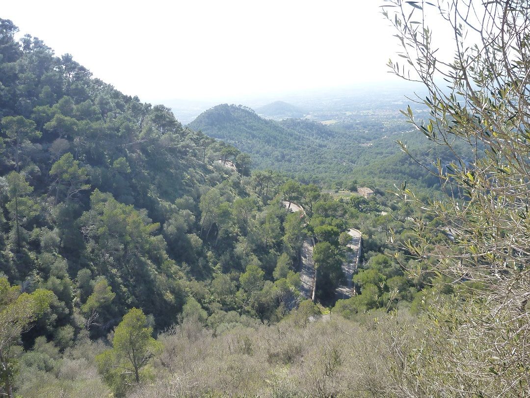 Sant_Salvador_2.jpg