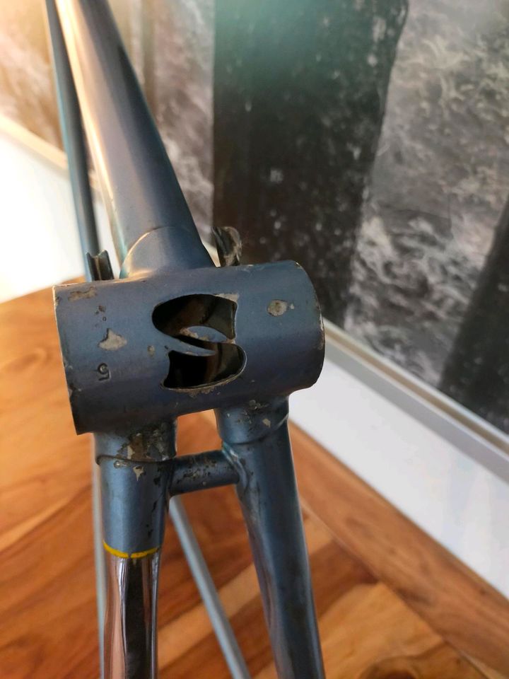 Santambrogio 11.jpeg