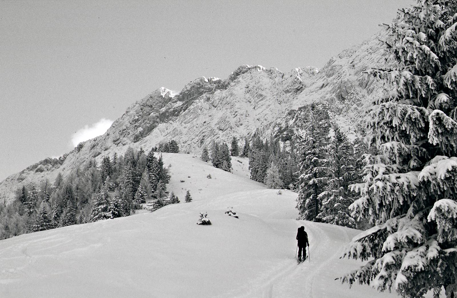 Scan-131023-0010.jpg