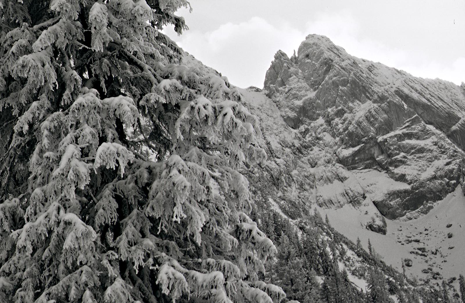 Scan-131023-0011 Kopie.jpg
