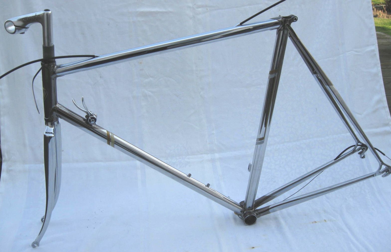 Scapin kmplt.jpg