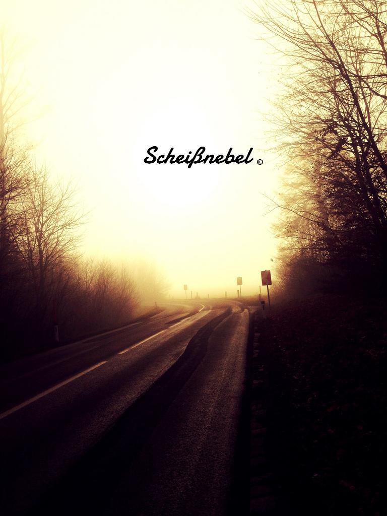 scheissnebel.jpg