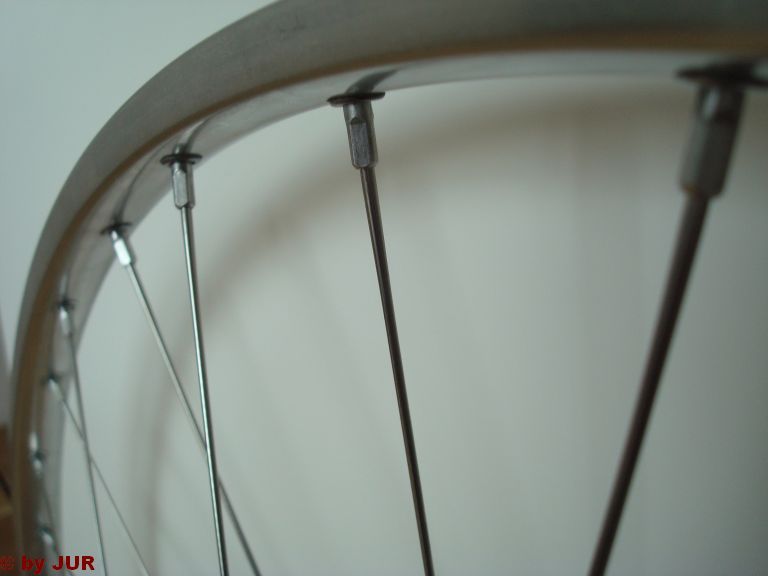 SchlauchiLRS8.jpg