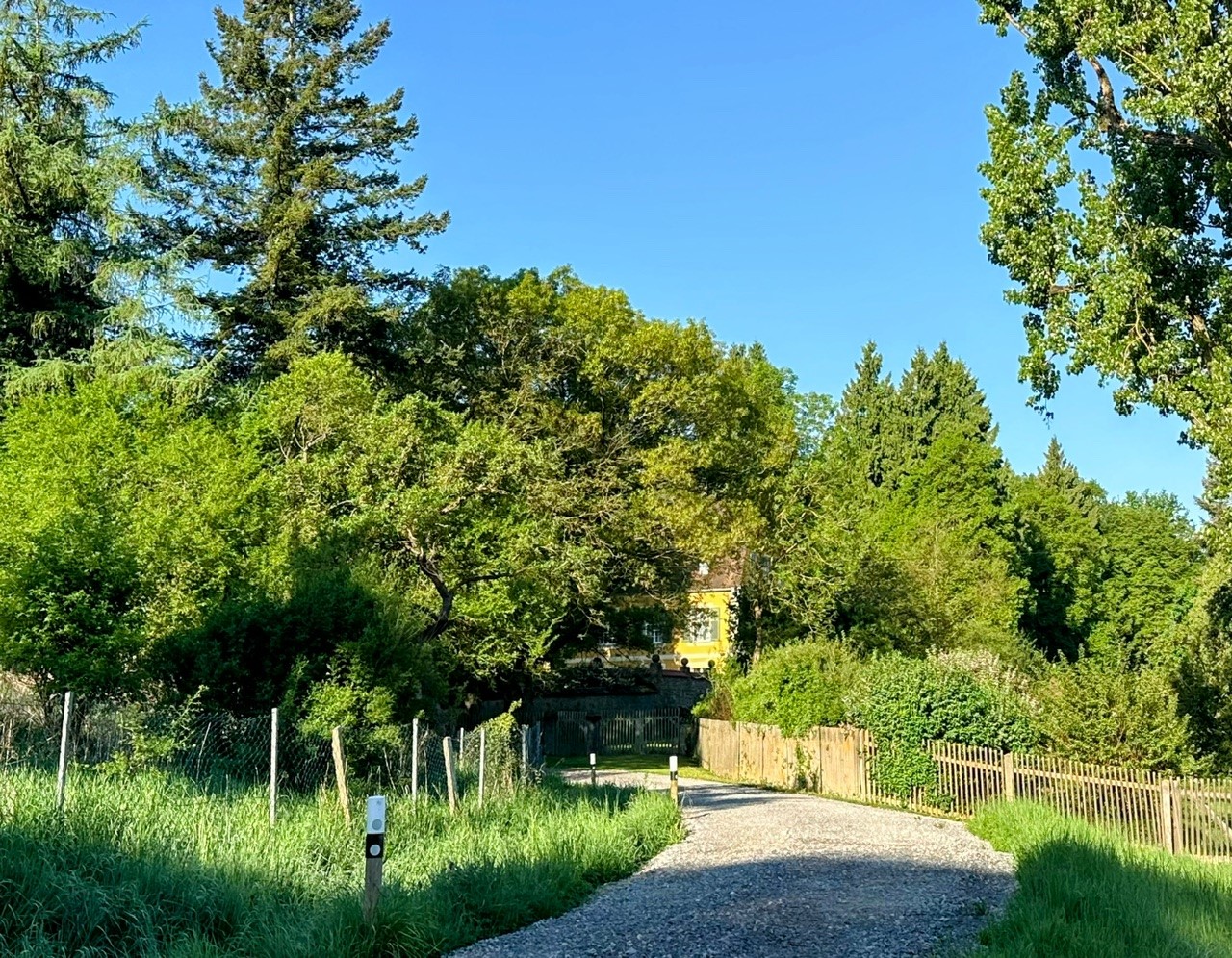 schloss.jpg