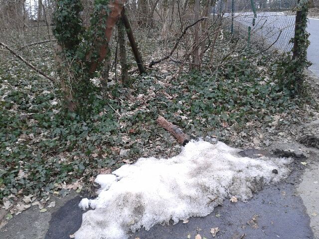 schnee.JPG