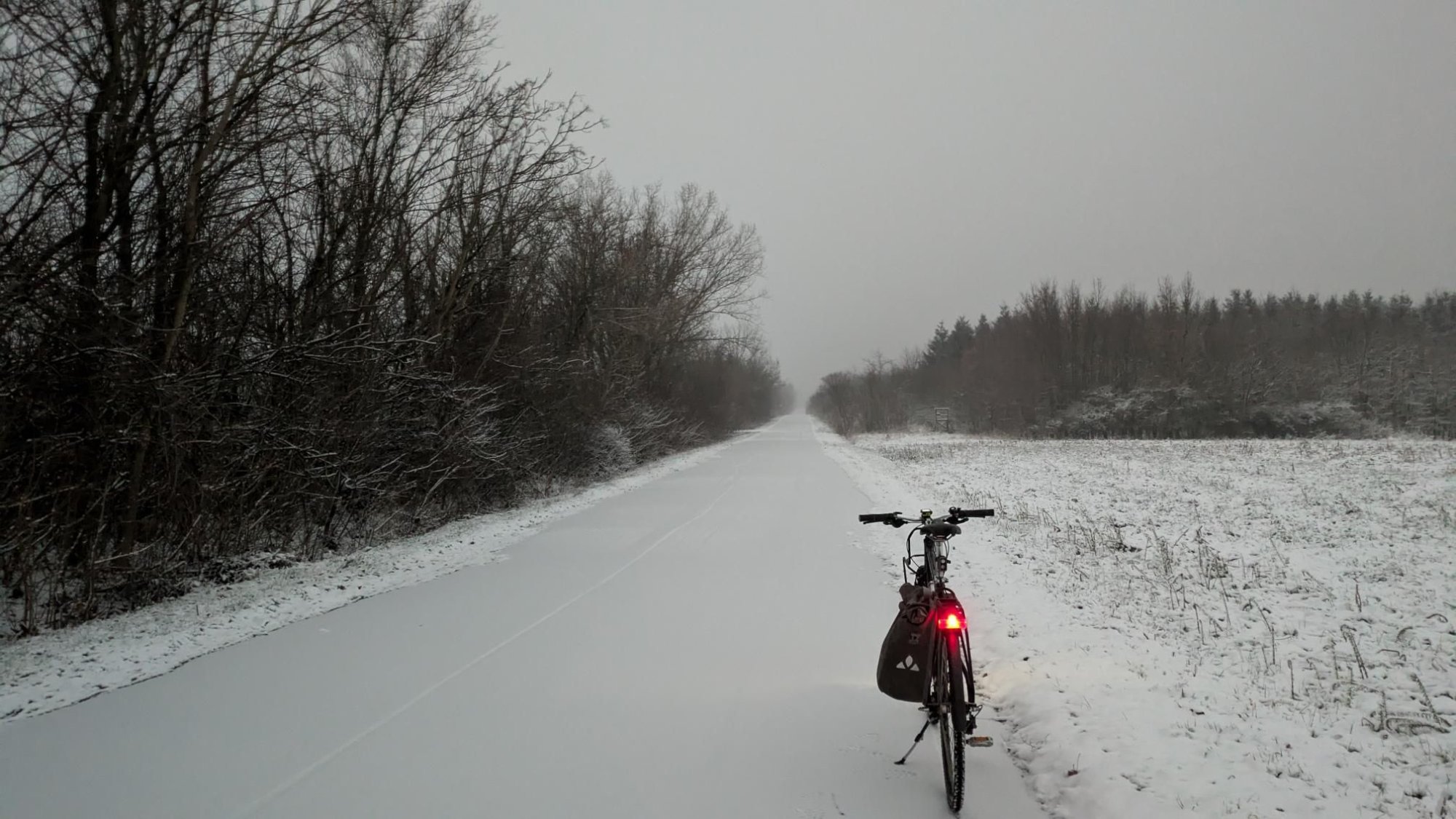 schneeeee.jpg