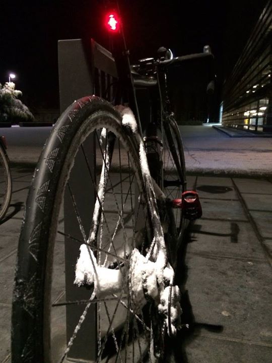 schneeeeeeeeeeeeeee.jpg