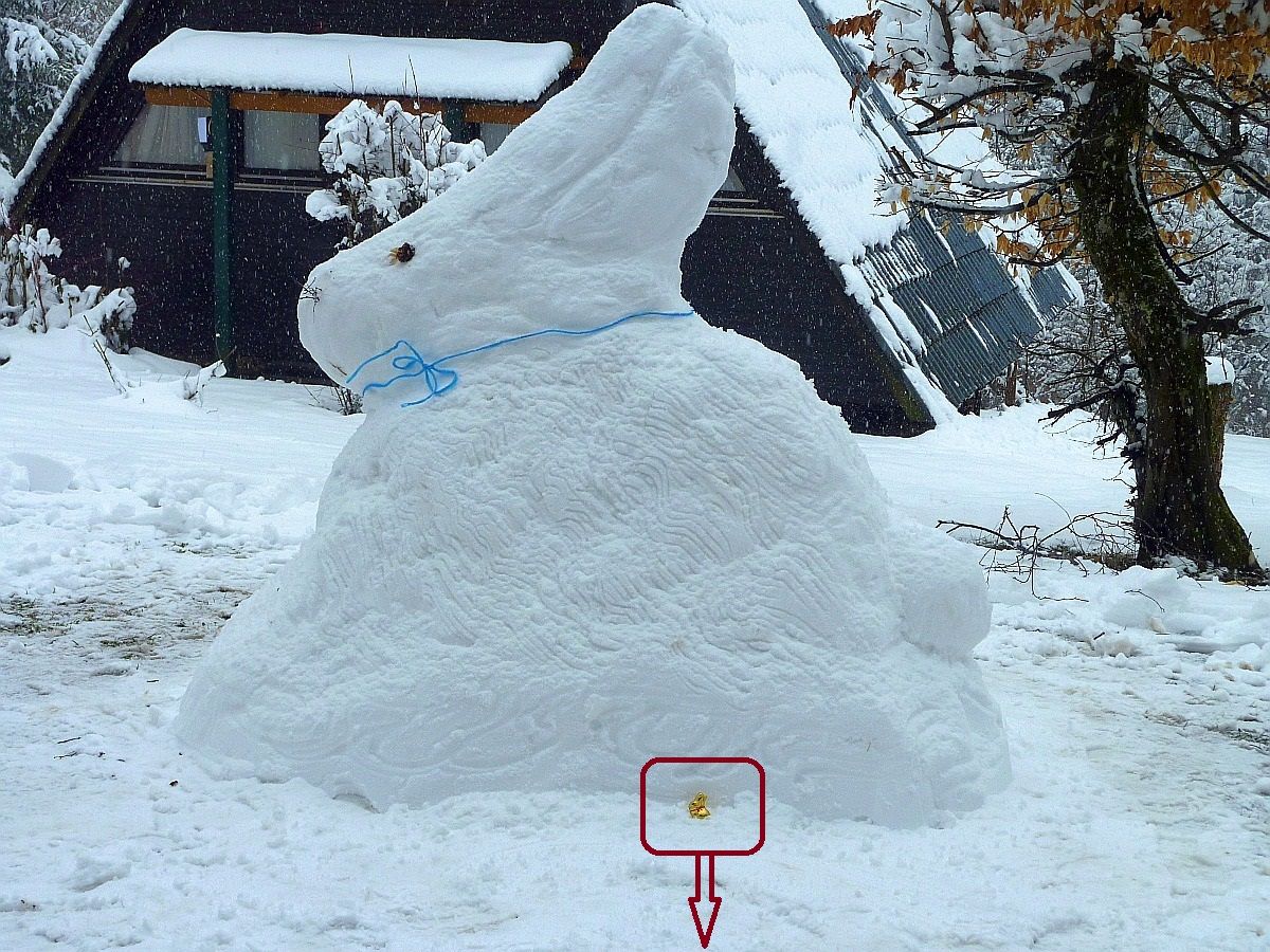 Schneehase_2_1_1200.jpg