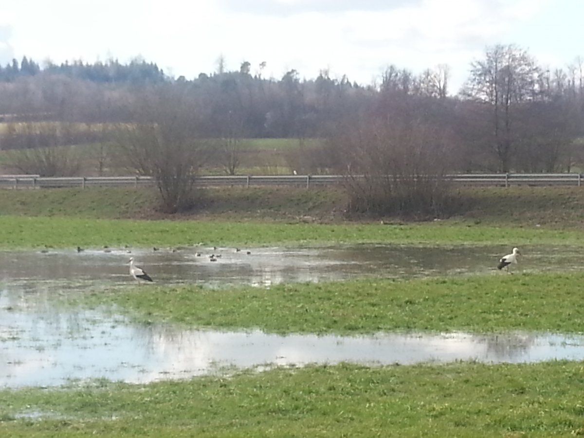 Schon Frühling.jpg