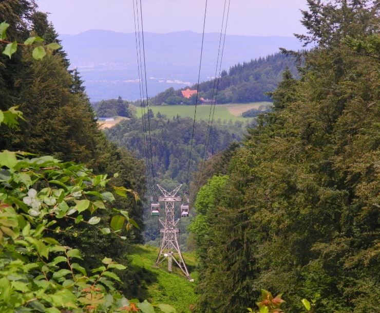 Schwarzwald4.JPG