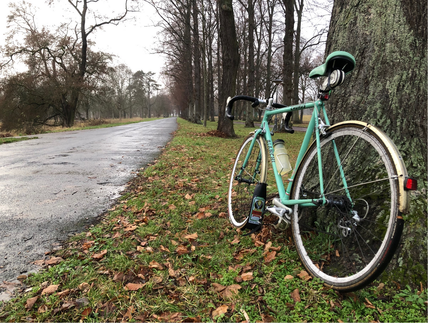 Screenshot 2025-12-09 at 18-20-46 IMG_4223.jpg (JPEG-Grafik 2016 × 1512 Pixel).png