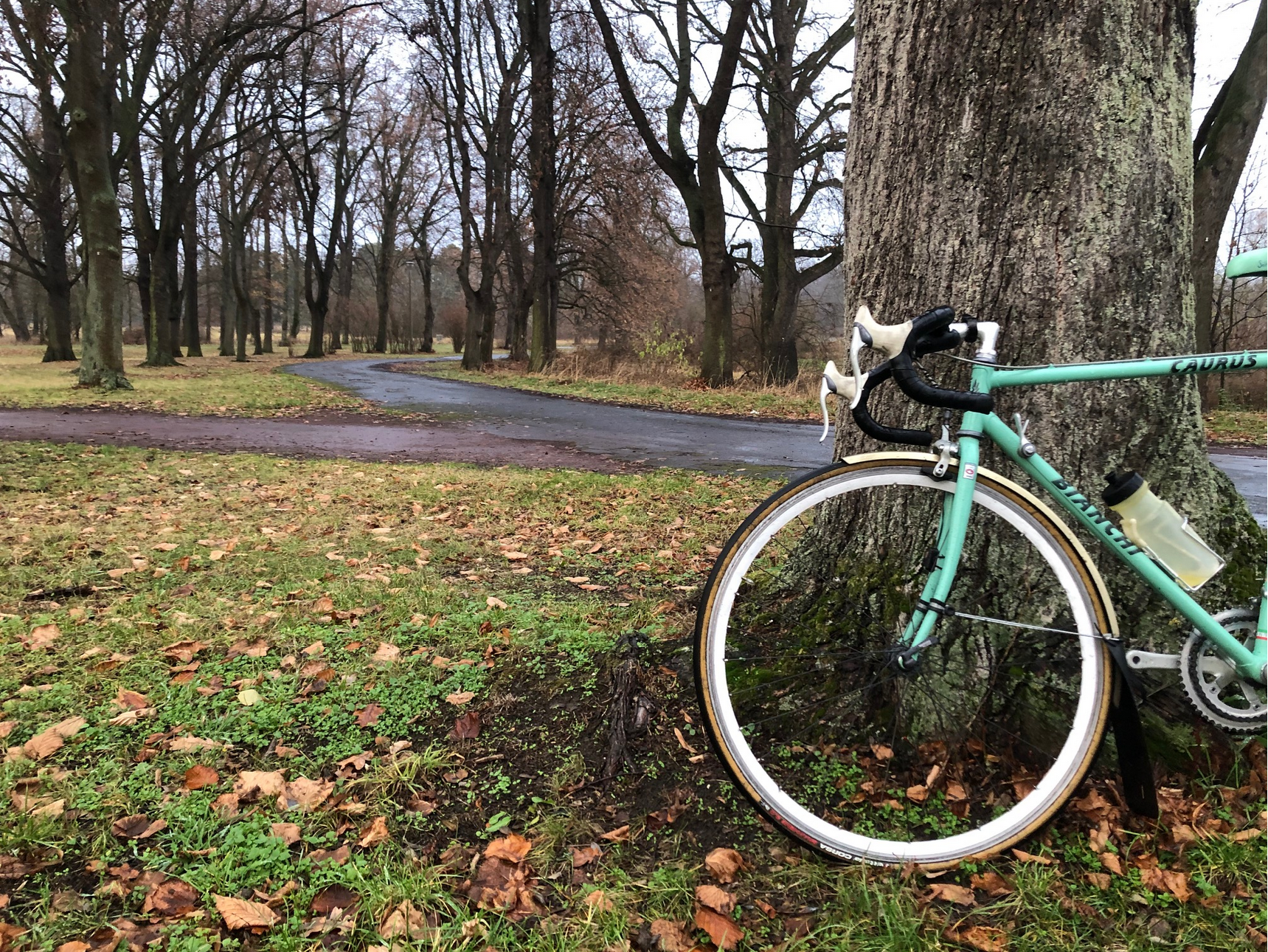 Screenshot 2025-12-09 at 18-21-09 IMG_4226.jpg (JPEG-Grafik 2016 × 1512 Pixel).png